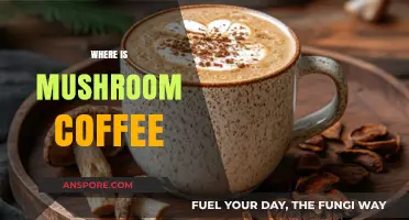 Mushroom Coffee: Where to Buy and Why