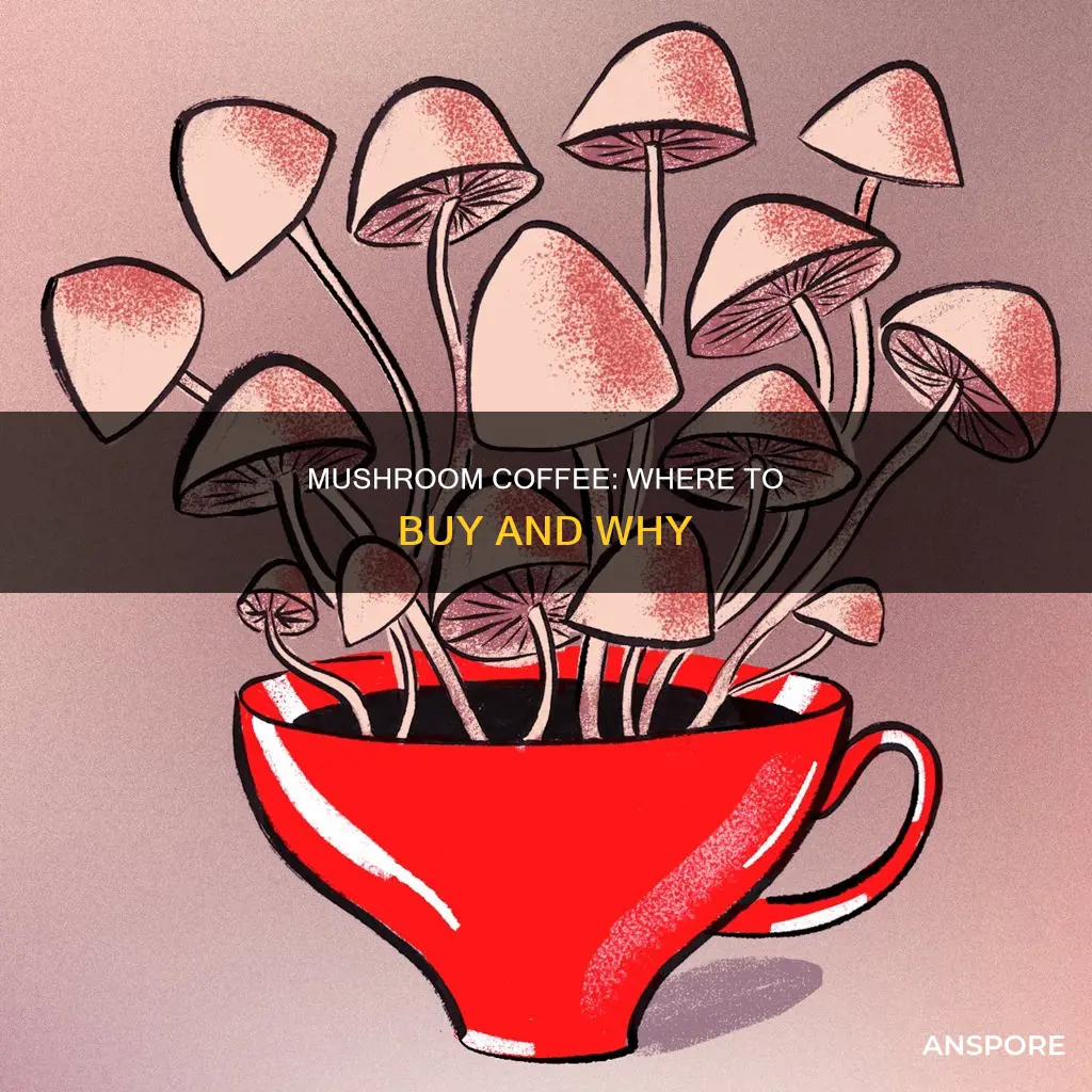 where is mushroom coffee