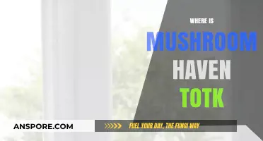 Mushroom Haven: A Totk Paradise
