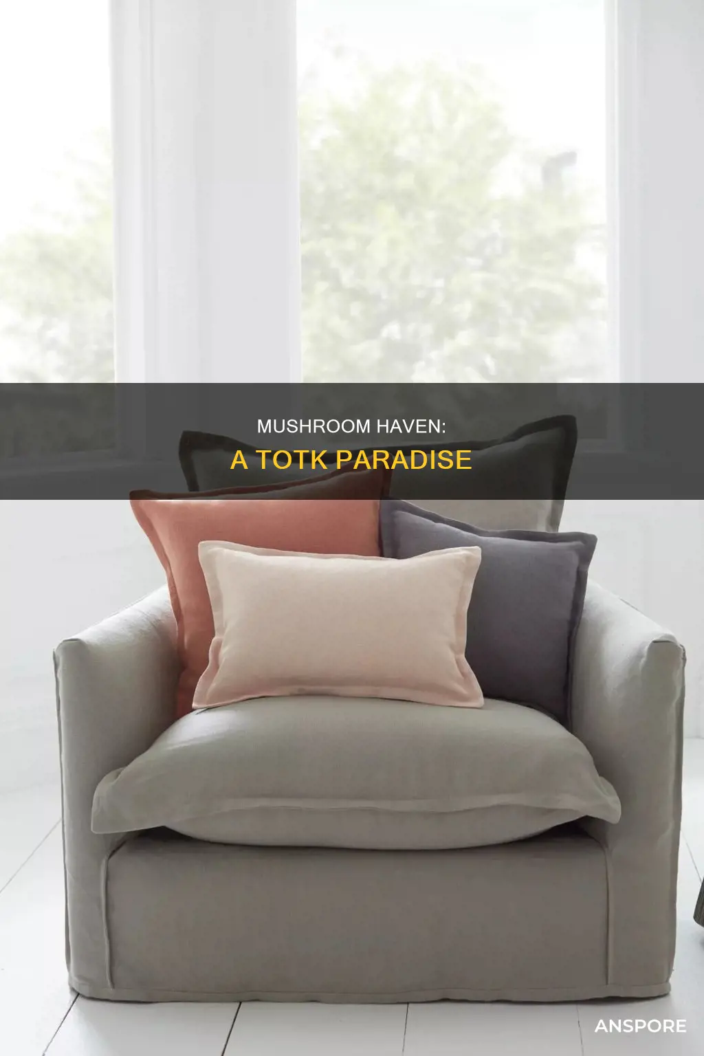 where is mushroom haven totk