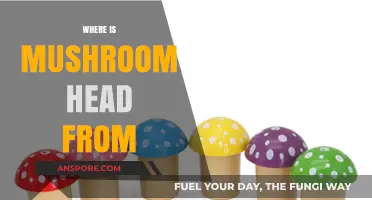 Mushroom Head: Origins and History