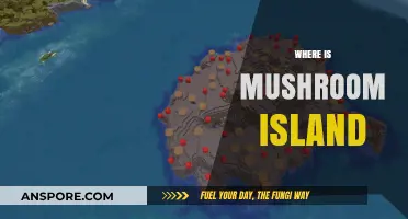 Mushroom Island: A Magical Location