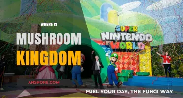 The Mushroom Kingdom: A World Within Our Own