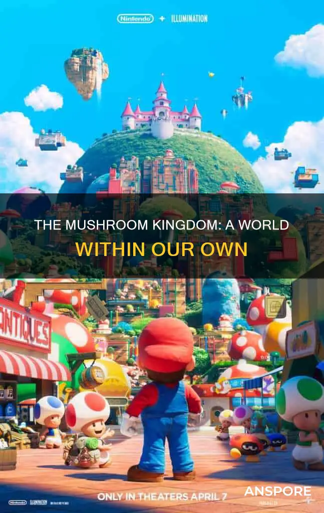 where is mushroom kingdom
