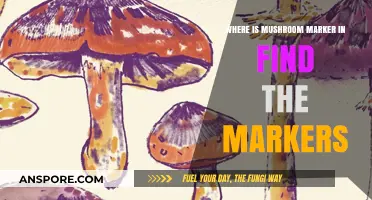 Locate the Mushroom Marker in Find the Markers: A Quick Guide