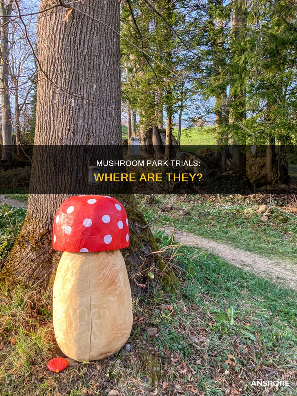 where is mushroom park trials