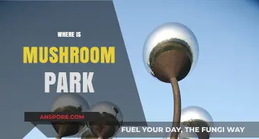 Mushroom Park: A Magical Location