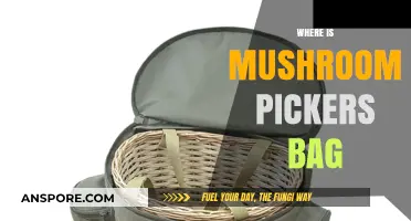 Mushroom Pickers: Where to Keep Your Foraged Finds