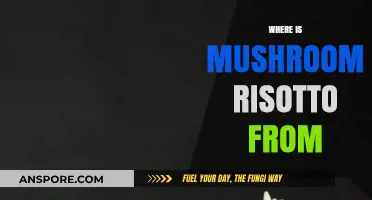 Mushroom Risotto: Tracing the Italian Dish's Origin