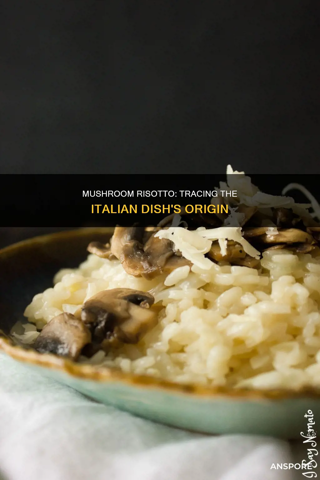 where is mushroom risotto from