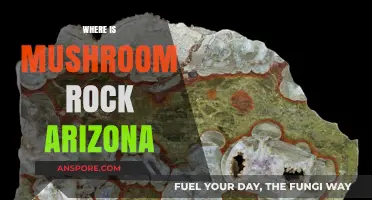 Mushroom Rock: Arizona's Unique Geological Wonder