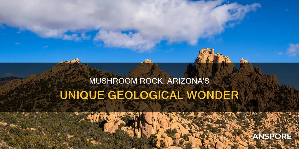 where is mushroom rock arizona