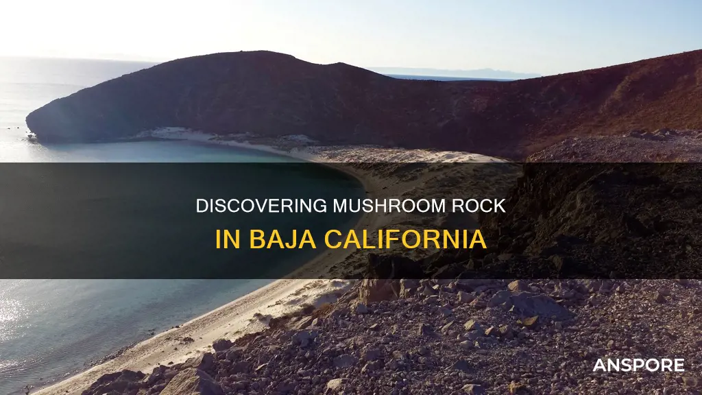 where is mushroom rock baja