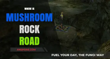 Mushroom Rock Road: A Unique Destination