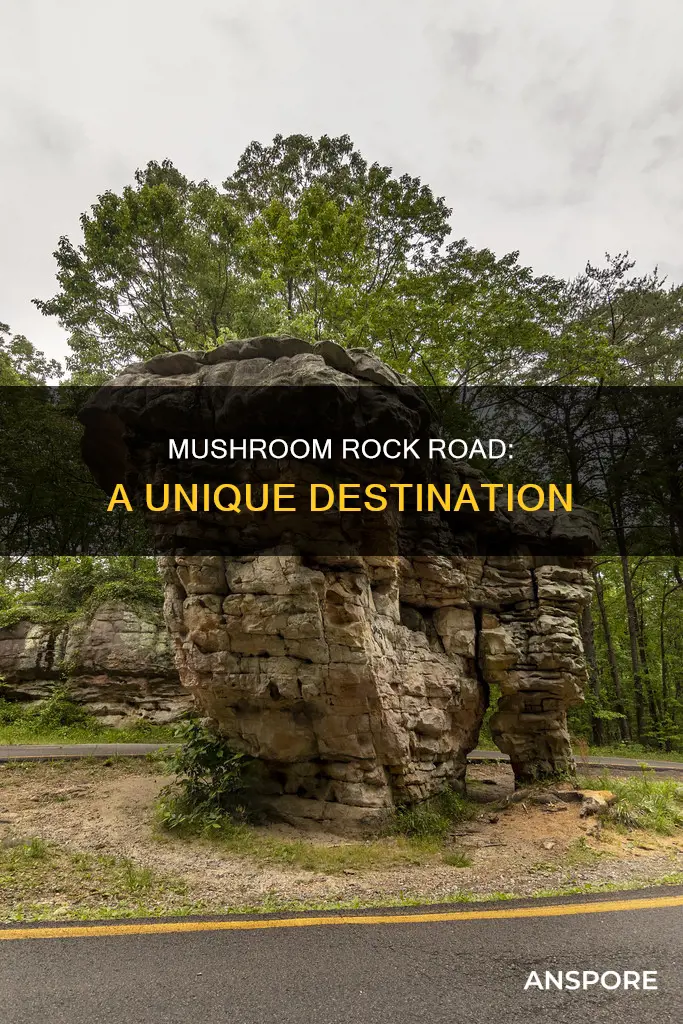 where is mushroom rock road