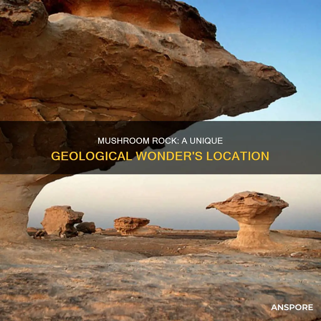 where is mushroom rock