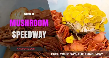 Mushroom Speedway: A Fun Fantasy Location
