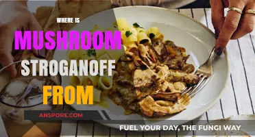 The Origin of Mushroom Stroganoff
