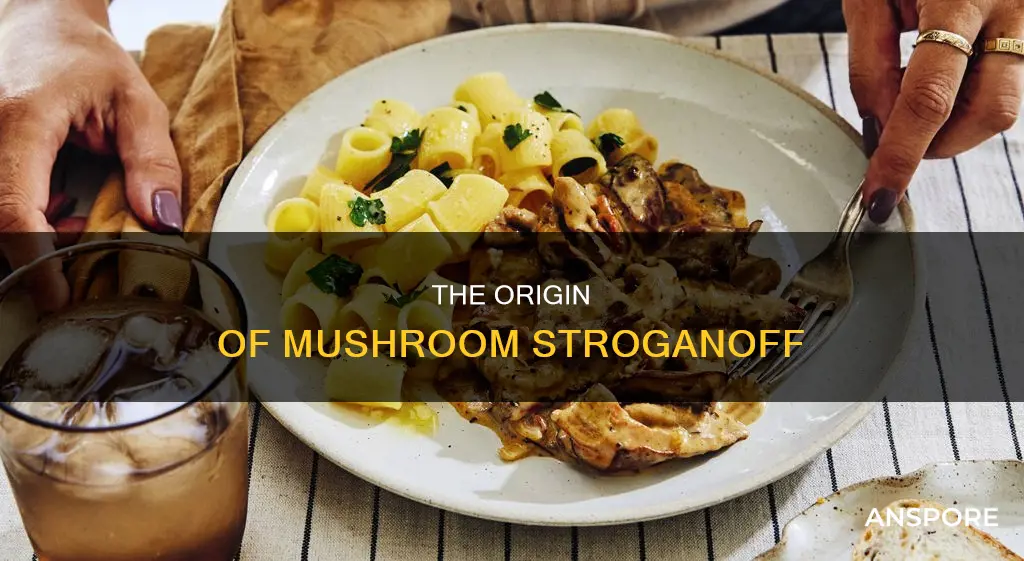 where is mushroom stroganoff from