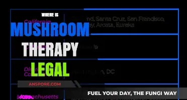 Exploring Global Legality: Where is Mushroom Therapy Legal Today?