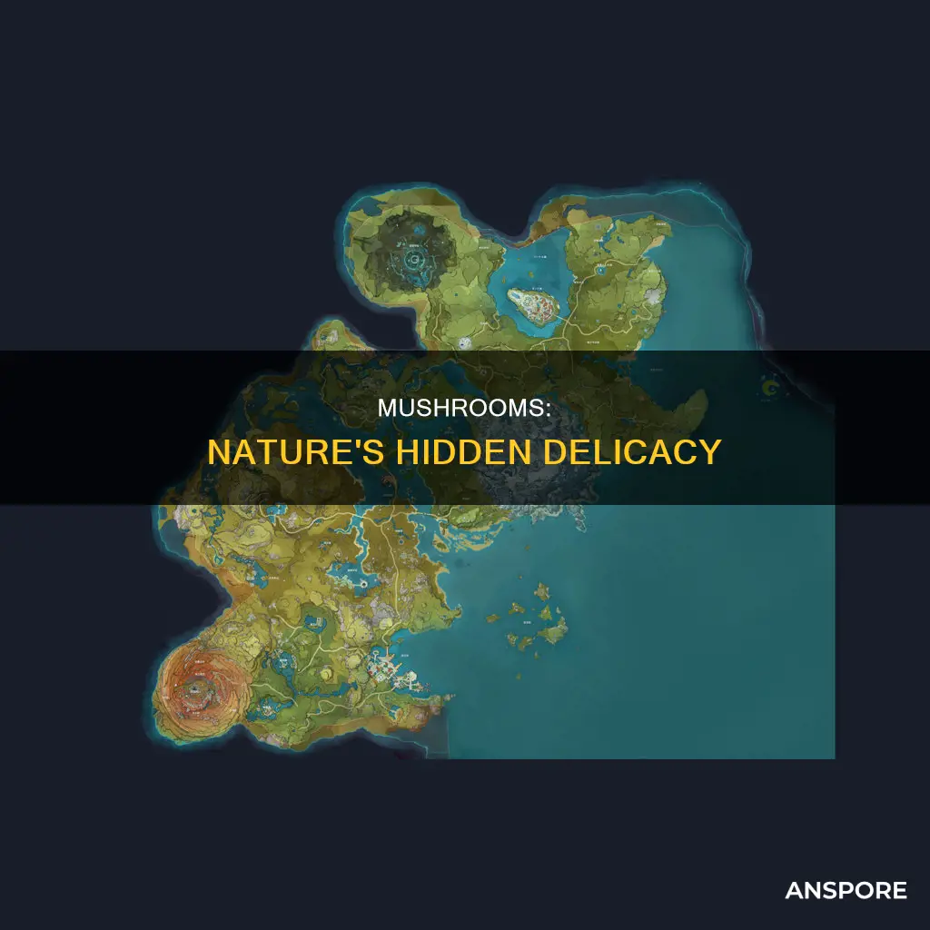 where is mushrooms s