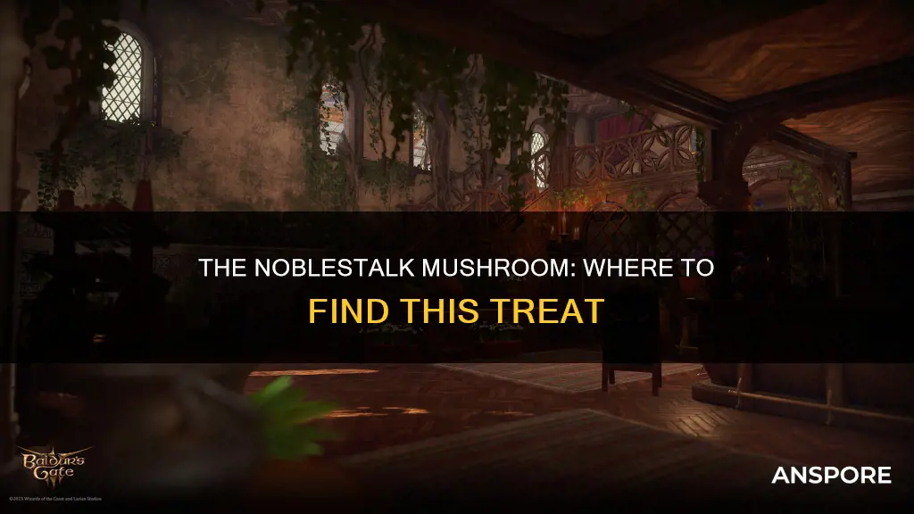 where is noblestalk mushroom