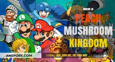 Mushroom Kingdom's Peach: Where is it?