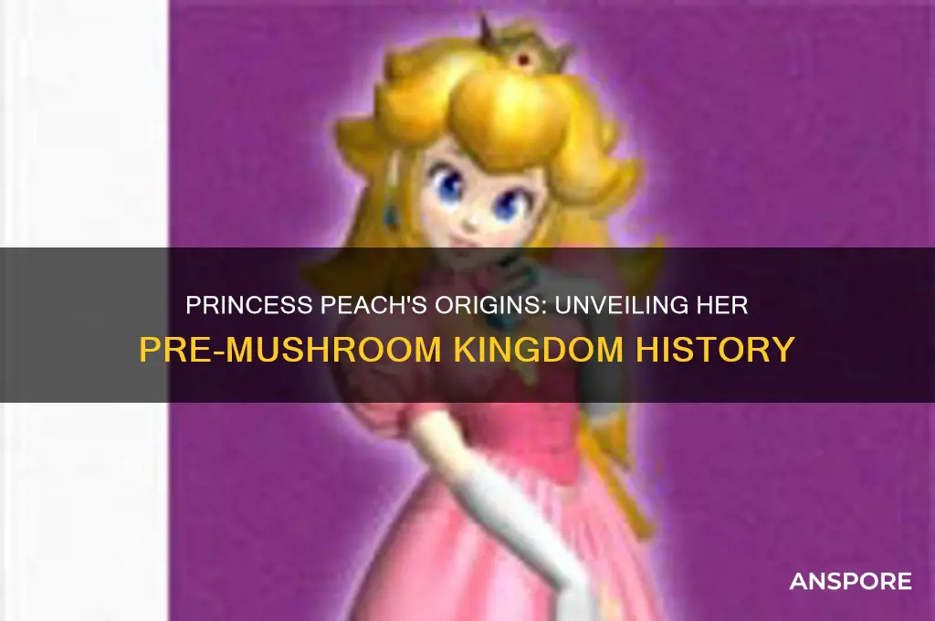 where is princess peach from before mushroom kingdom