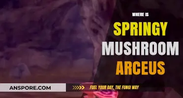 Arceus: Springy Mushroom Location Guide