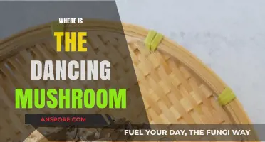 Dancing Mushroom: Where is the Elusive Fun?