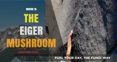 Eiger Mushroom: A Swiss Treat