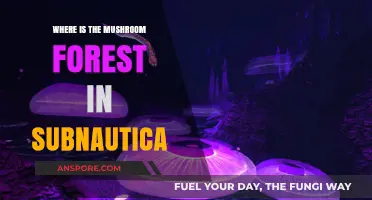 Discovering Subnautica's Mushroom Forest: Location Guide for Explorers