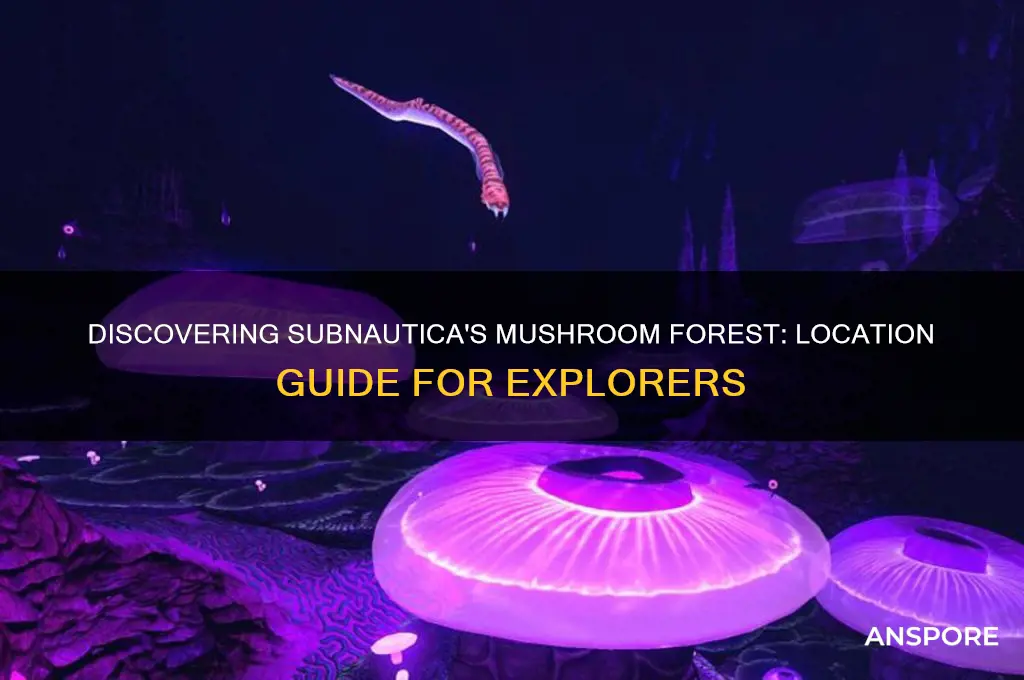 where is the mushroom forest in subnautica