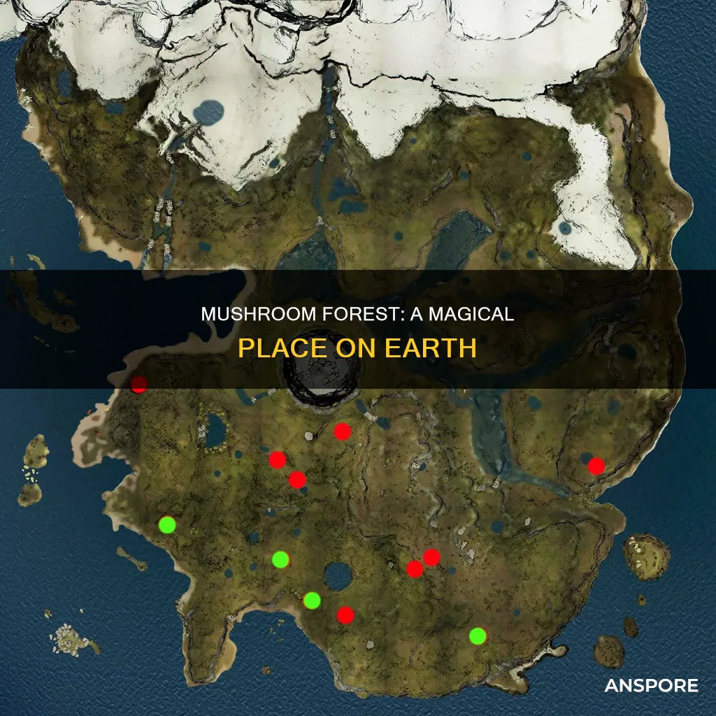 where is the mushroom forest