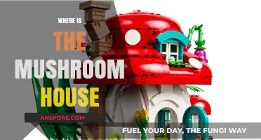 Mushroom Houses: Where Are These Fantasy Homes?