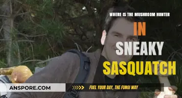 Sneaky Sasquatch: Locating the Mushroom Hunter in the Game