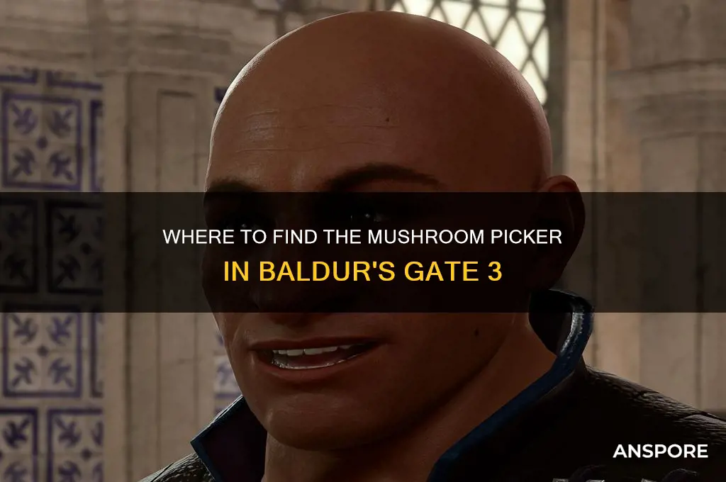 where is the mushroom picker bg3