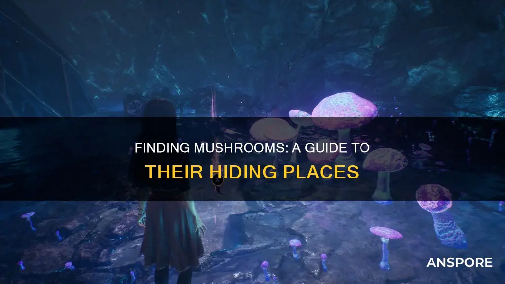 where is the mushroom