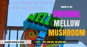 Tracing the Roots: Where is the Original Mellow Mushroom Located?