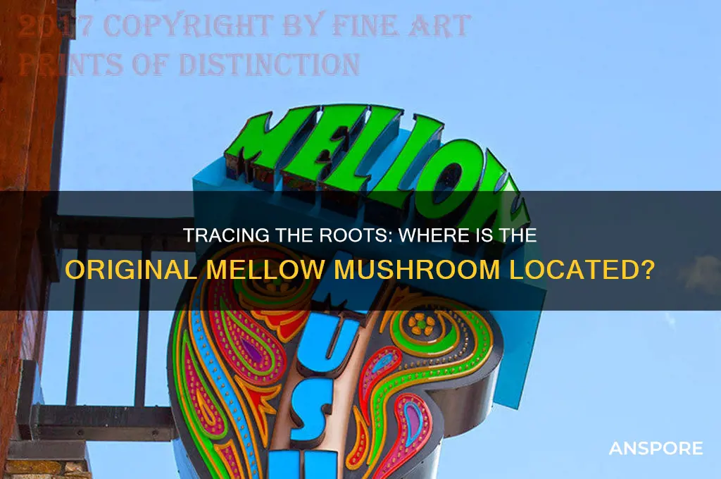 where is the original mellow mushroom