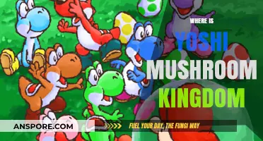 Yoshi's Location in the Mushroom Kingdom