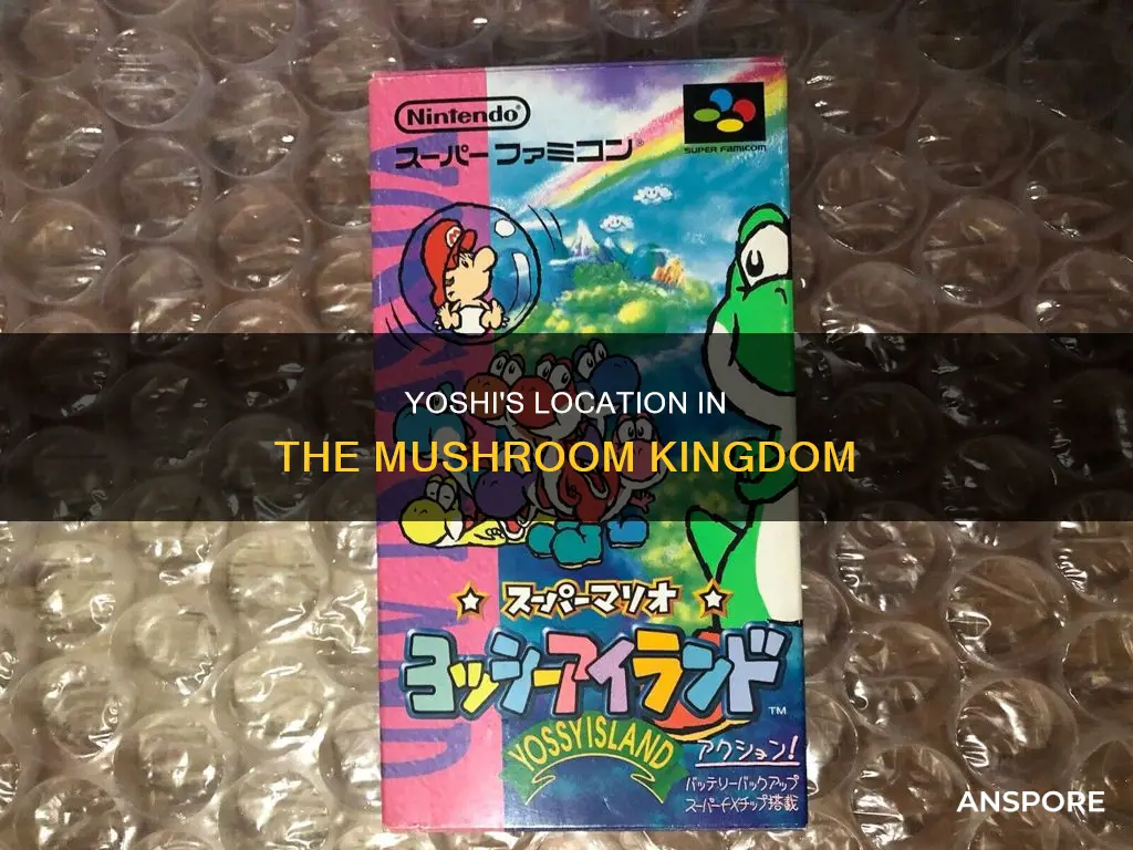 where is yoshi mushroom kingdom