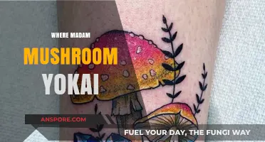 Mysterious Madam Mushroom: Where is the Yokai?