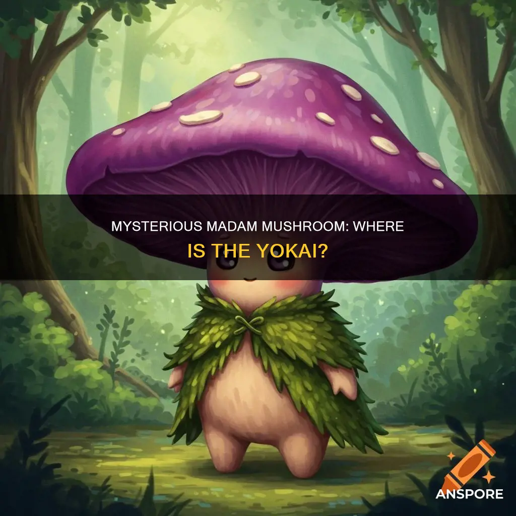 where madam mushroom yokai