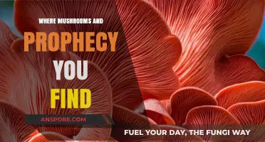 Mystical Mushrooms: Unveiling Prophetic Secrets in Nature's Hidden Realms