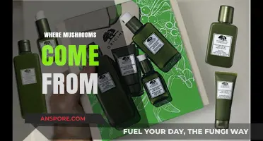 Mushroom Origins: A Journey to the Source