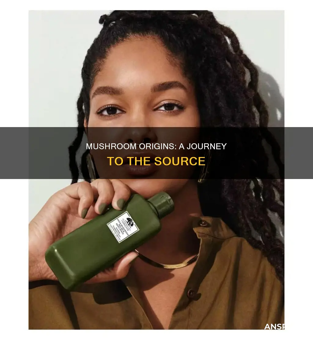 where mushrooms come from