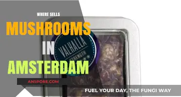 Amsterdam's Mushroom Shopping Guide