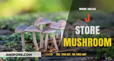Best Places to Store Mushrooms at Home
