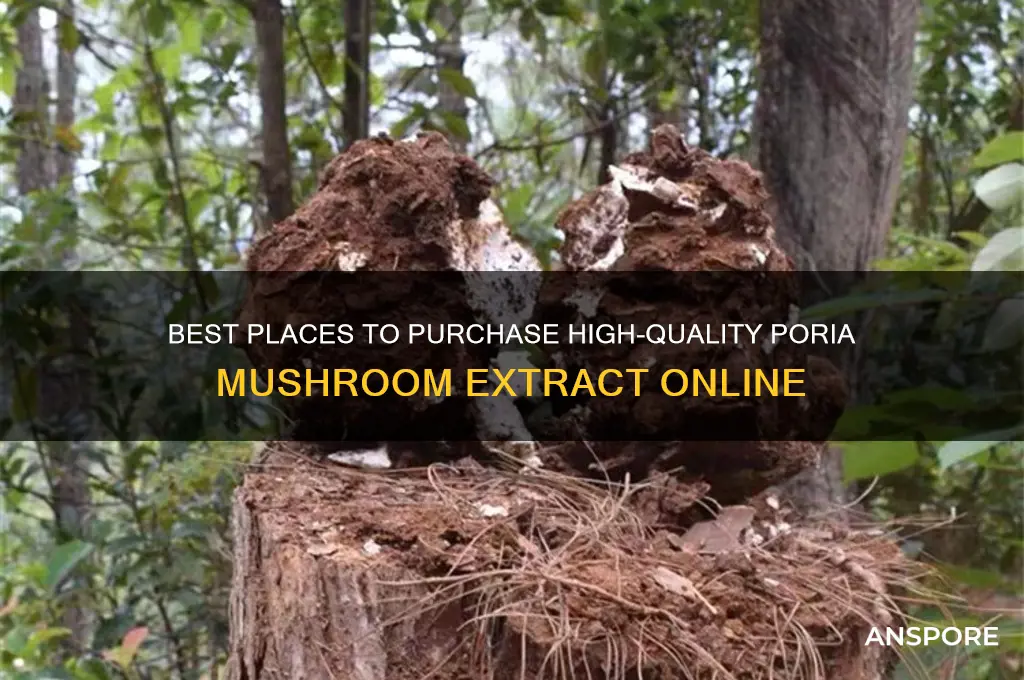 where should i buy poria mushroom extract
